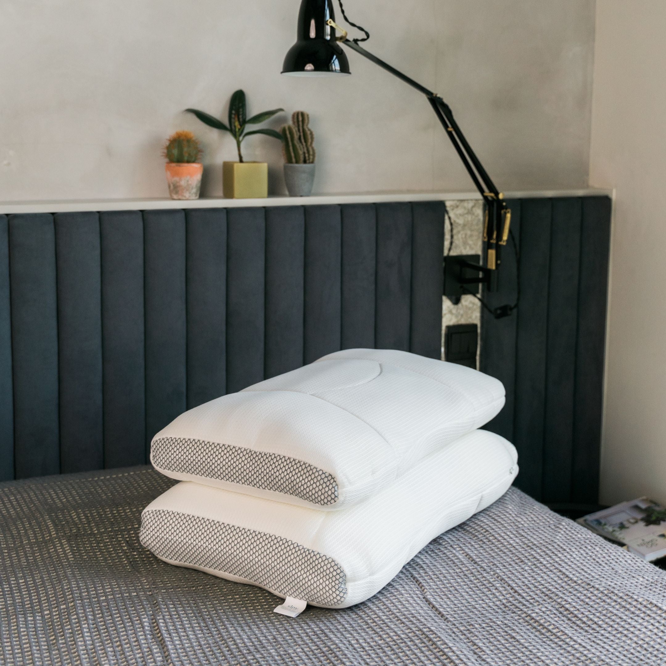 หมอน EveryDay Pillow