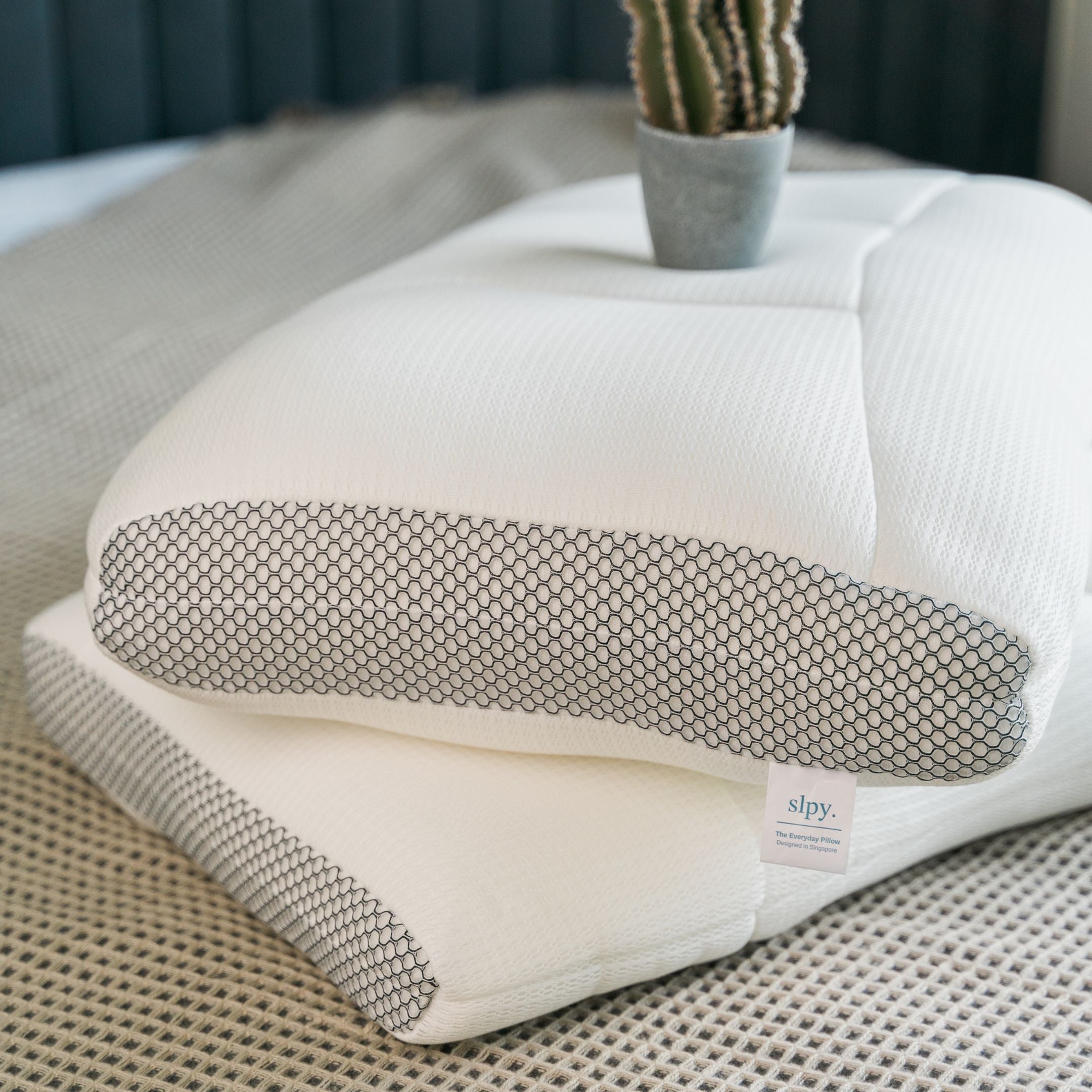 หมอน EveryDay Pillow
