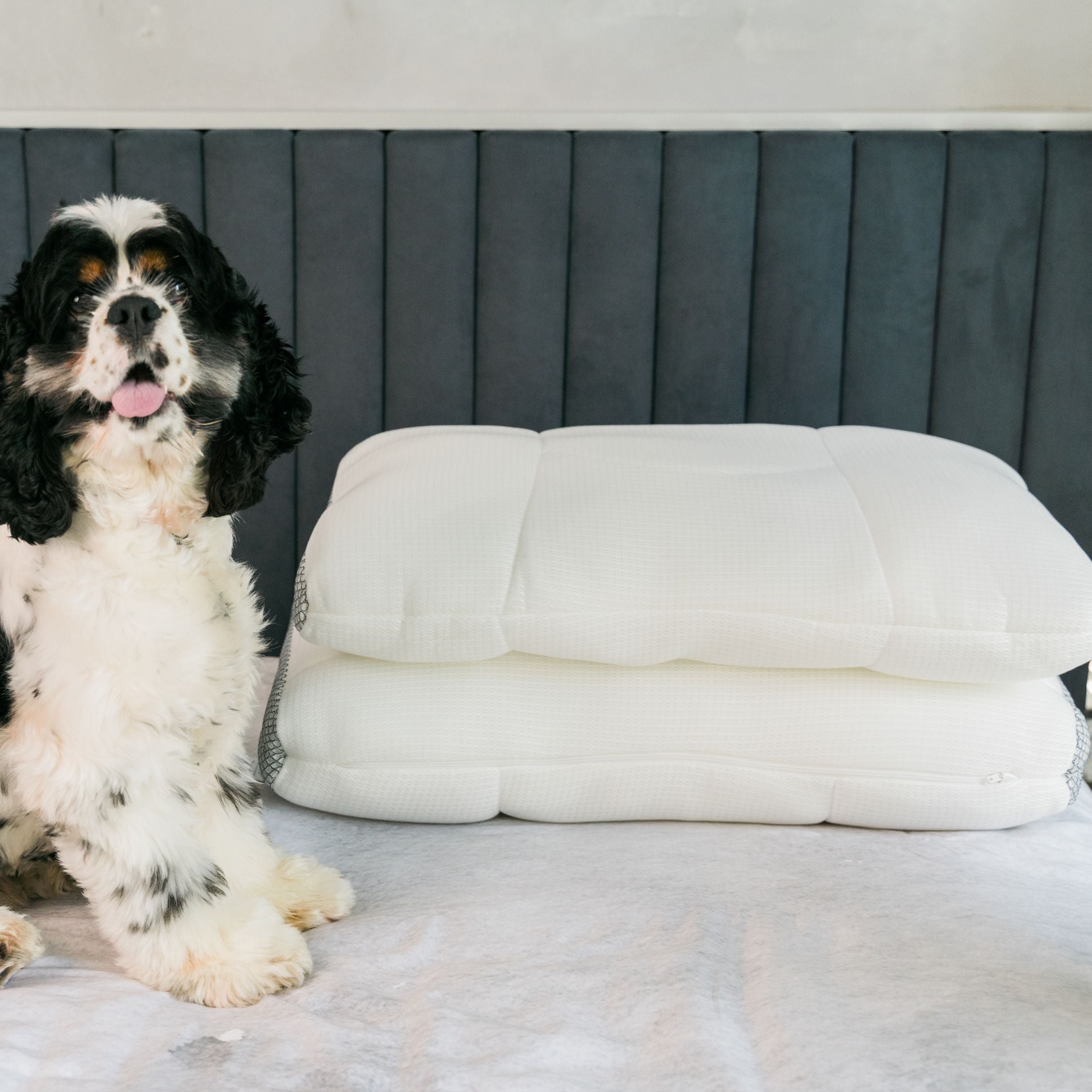 The Everyday Pillow Duo (Save 10%)