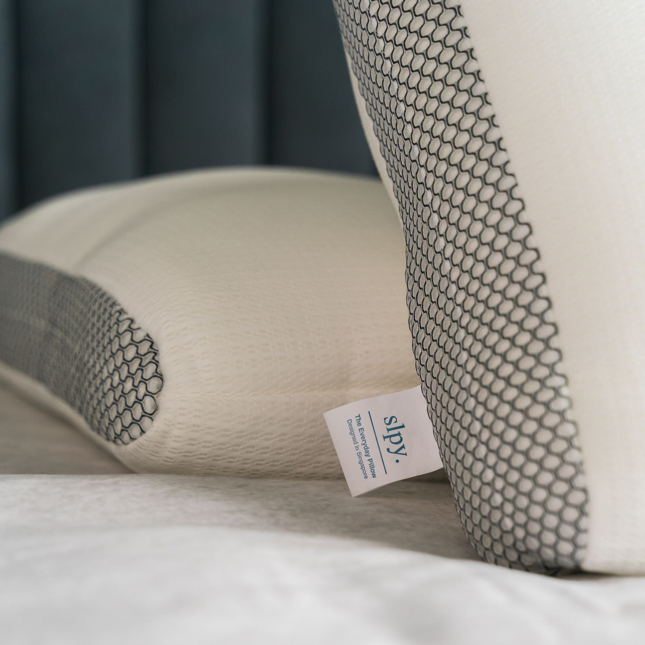 หมอน EveryDay Pillow